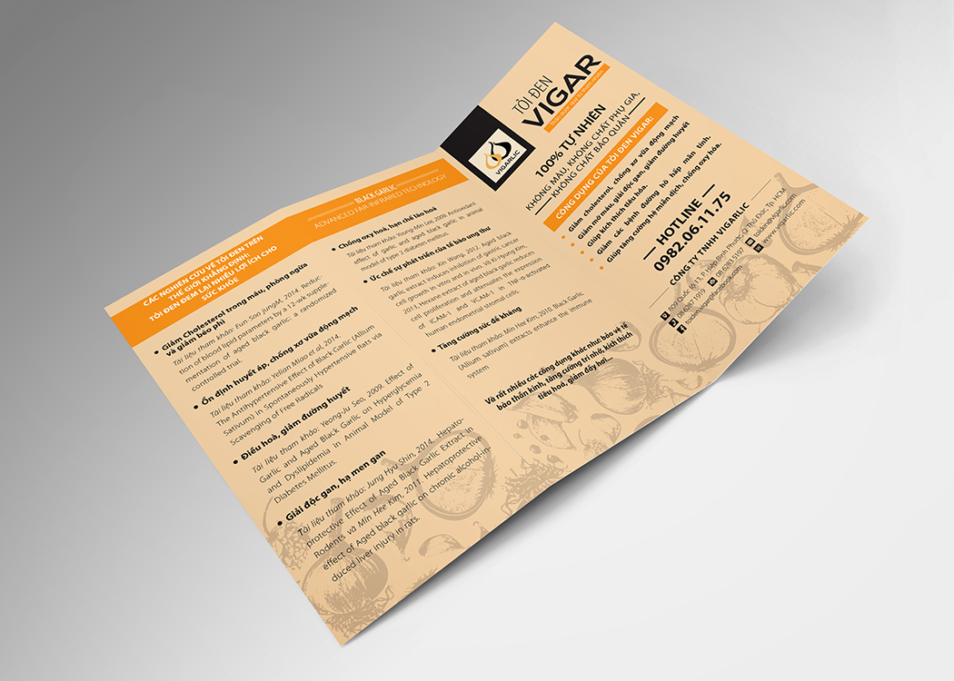 VIGARLIC - Sáng tạo mẫu thiết kế bao bì và nhận diện thương hiệu tỏi đen VIGARLIC